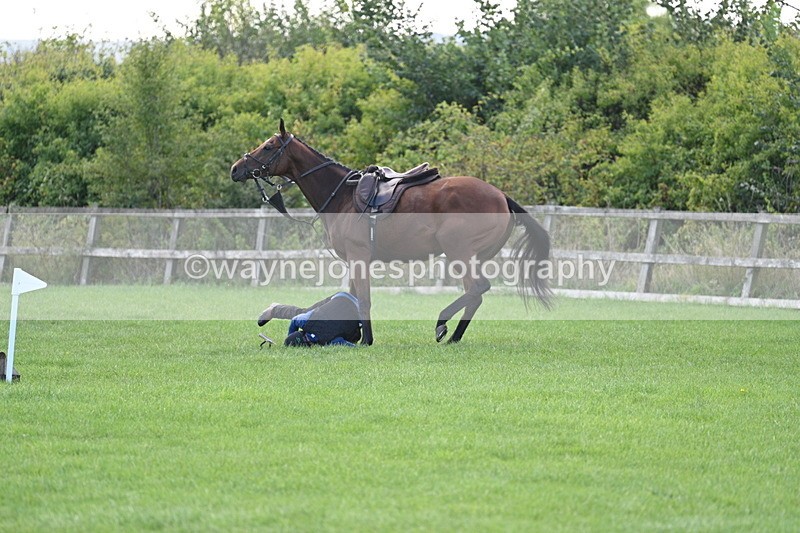 WJ7_0947 - Time 13:30 to 13:54