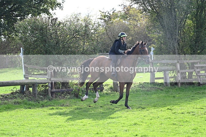 WJ7_0979 - Time 14:27 to 15:11