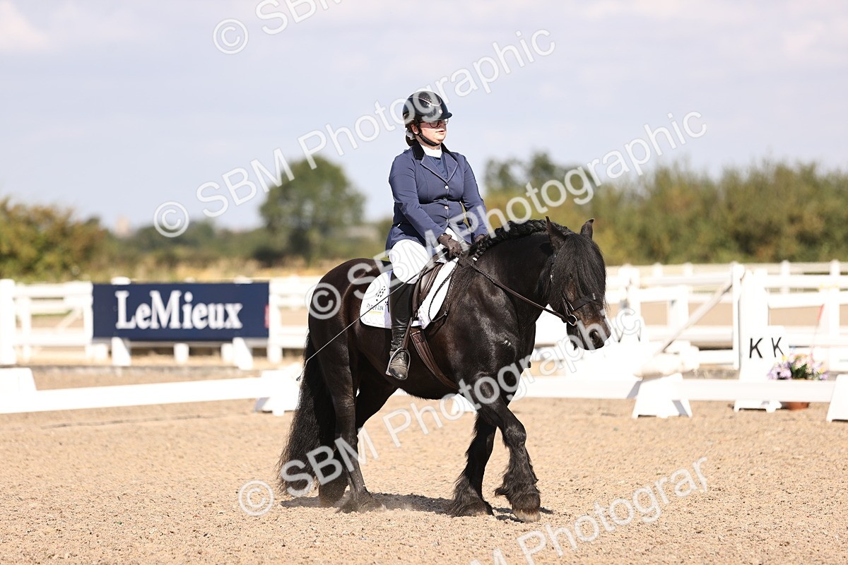 SBM_03528 - CLass 35 Intro 3