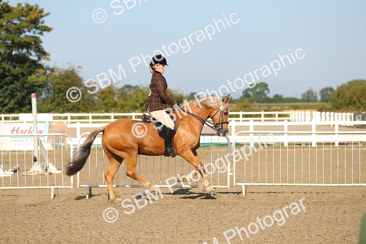SBM_01132 - Class 42 Ridden Veteran
