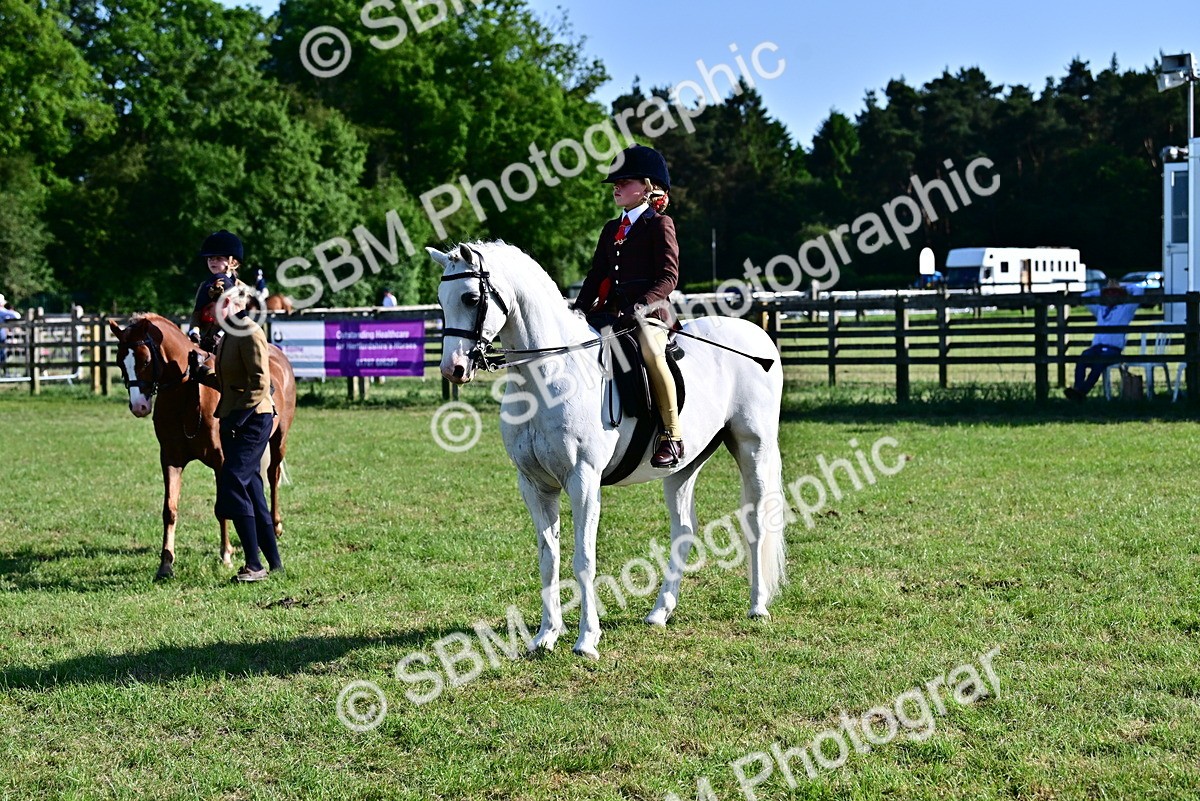 SBM_19916 - Class 103 - 105 - TSR Ridden Amateur of the Year Plaited Ponies
