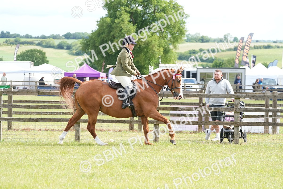 SBM_12930 - Class 99 - RIHS SEIB Working Show Horse