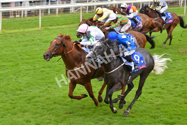 yr24072021r2-18 - Race 2 2.40pm Sky Bet Dash