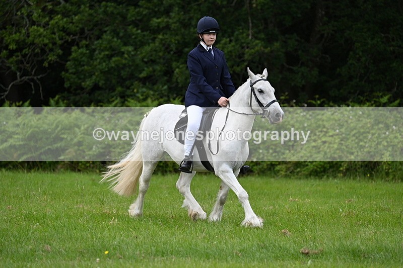 WJ7_2586 - Class 12A Coloured Class