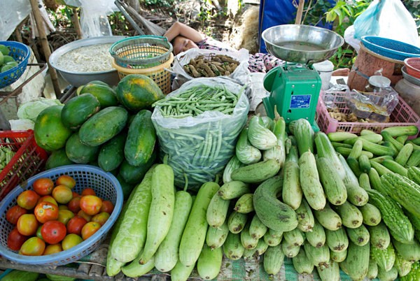  - Vietnam