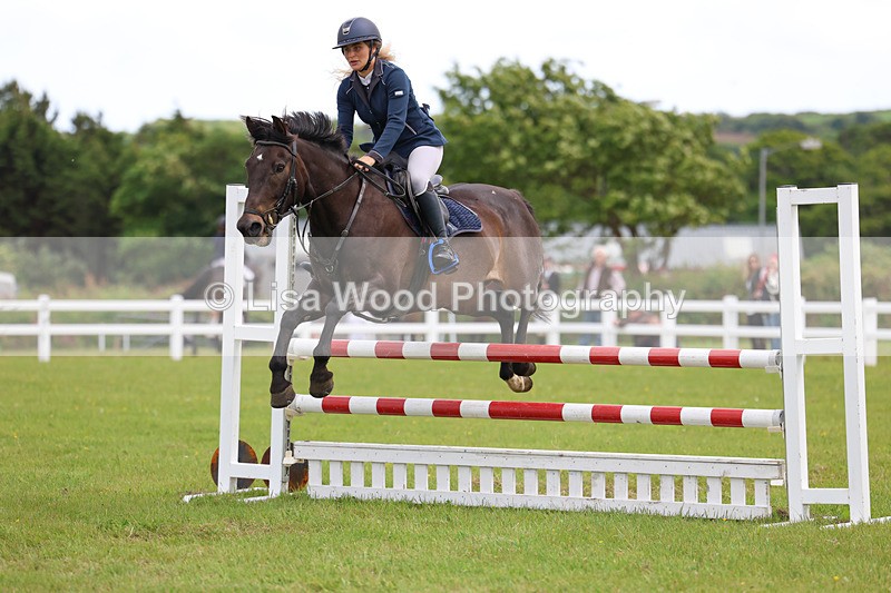3E7A7756 - Class 13: Senior British Novice/90cm open
