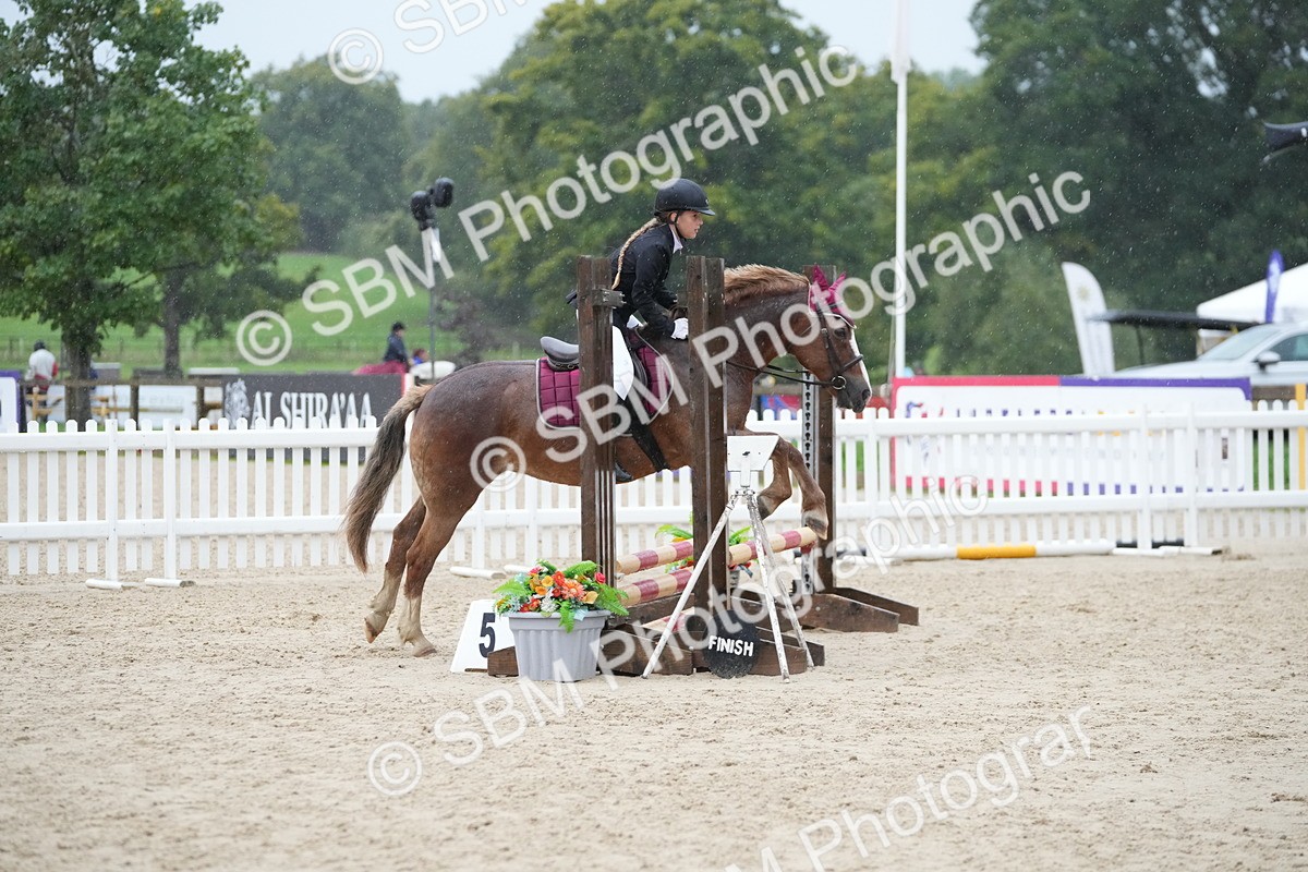 SBM_34102 - J5 - Junior Pony 50cm Championship