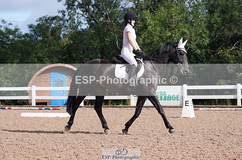 240809A-092502-00229 - Dressage Competition