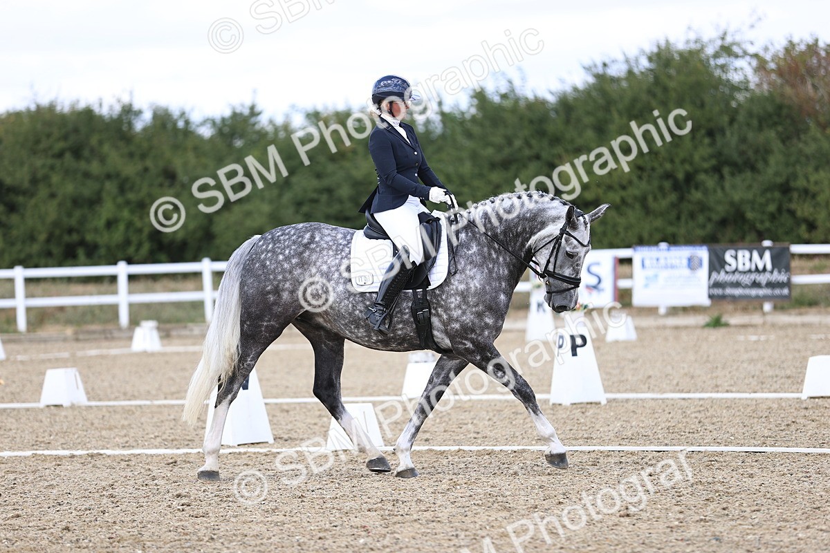 SBM_015223 - Class 5 - E5 Bronze 14.42.15.54