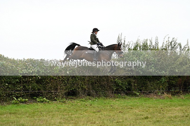 WJ7_4261 - Camera 1 Line 2