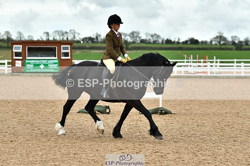 230416A-115536-04234 - Cls 72+73+69 Welsh, Trad Cob and Foreign