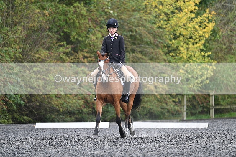 WJ7_3949 - Time 11:04 to 11:38