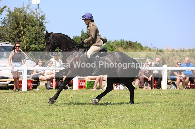 JPP_2558 - Class 21: Working Hunter 60cm