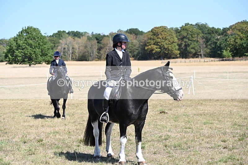 WJ6_8505 - Class 37a Best Loan Pony Ridden