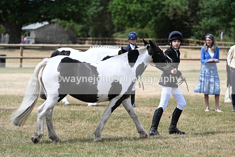 WJ7_1706 - Class 4 Prettiest Mare up to 14.2hh in hand