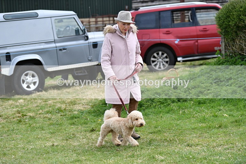 WJ5_9140 - Class 1 Best Cross Breed / Heniz 57