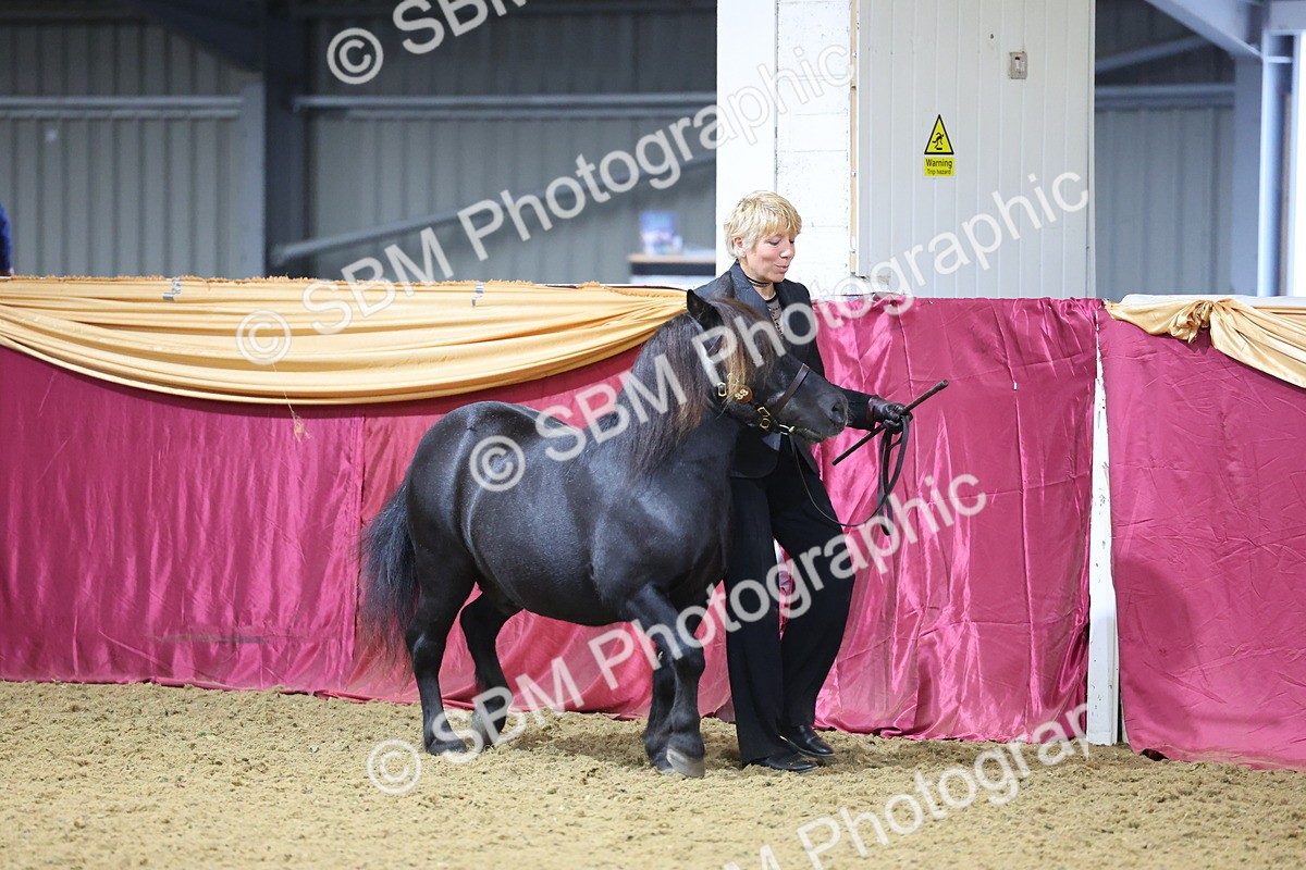 SBM_19581 - Class 901 - Supreme Final - IH Diamond