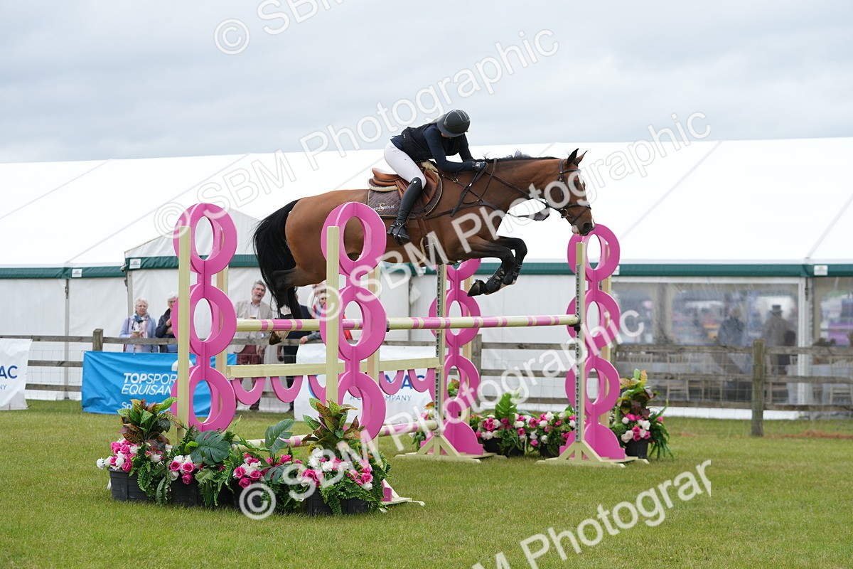 SBM_03006 - Class 201 - British Horse Feeds Speedi Beet Horse of the Year Show Grade  C