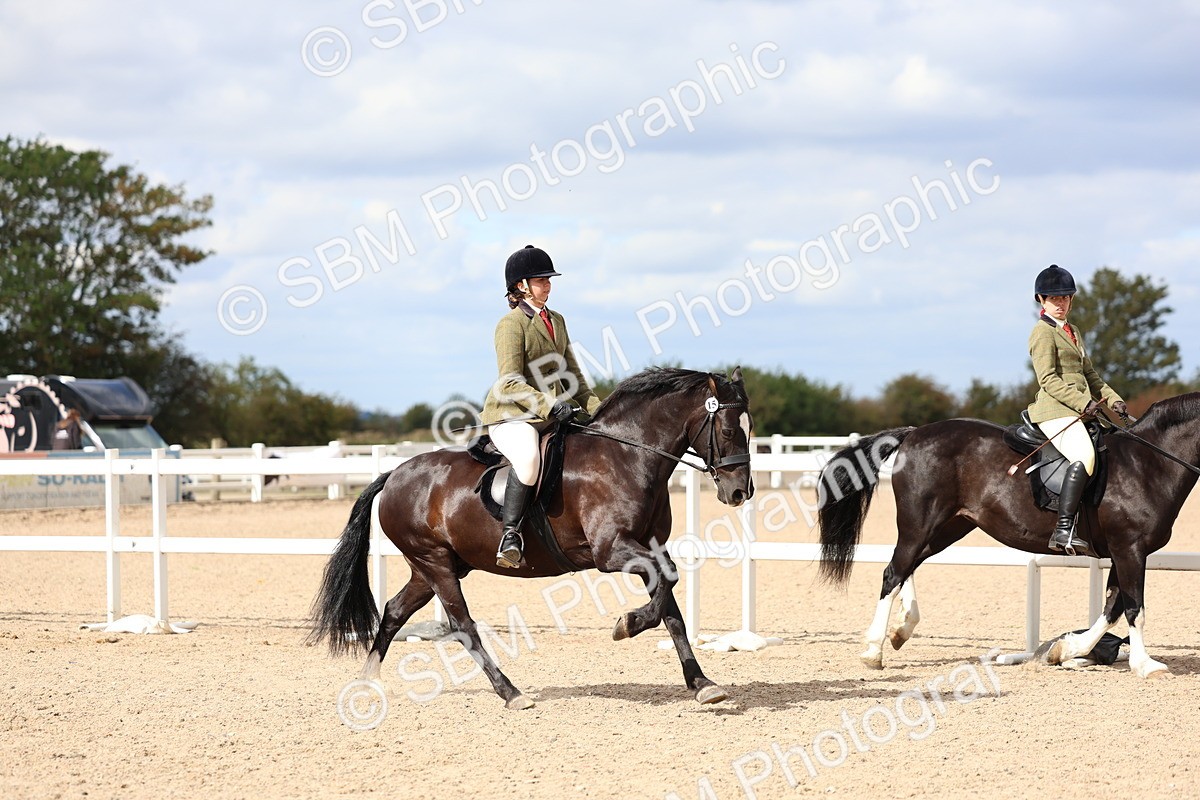 SBM_15783 - Class 314 - Family Horse - Pony