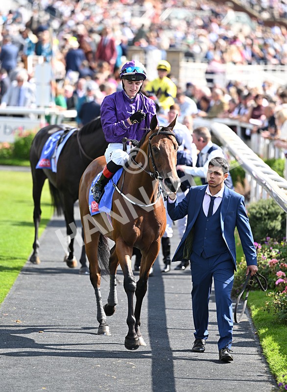 220826-127 Power Blue - Race 3 15.00pm Sky Bet City Of York Stakes