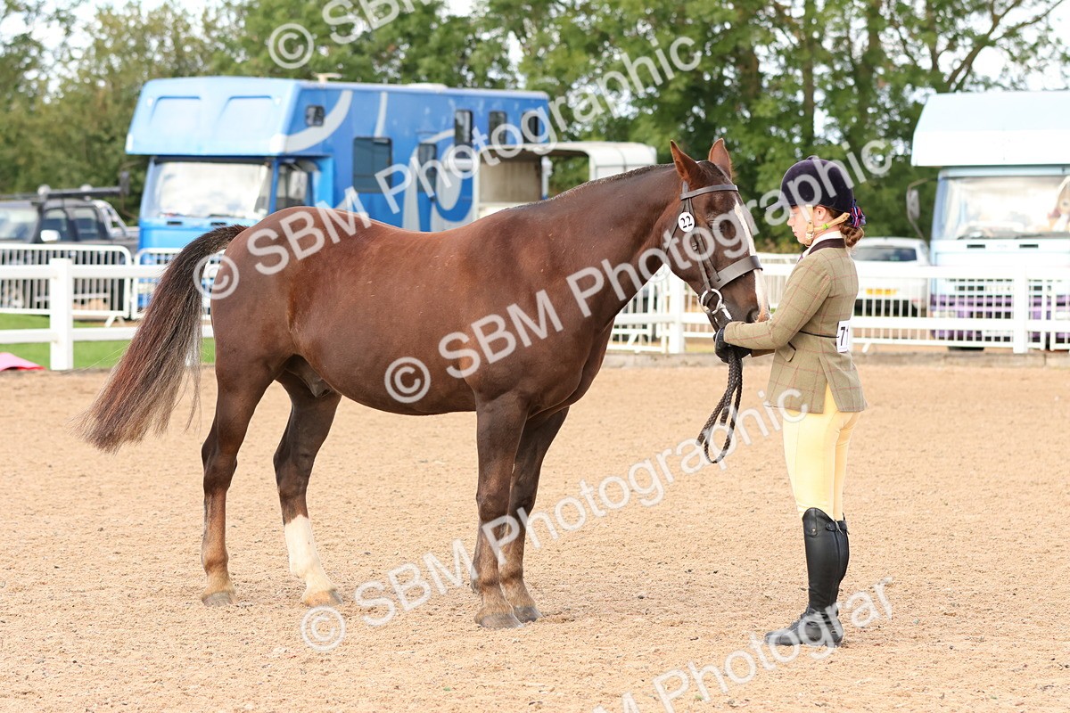 SBM_09201 - Class 204 - Young Handler