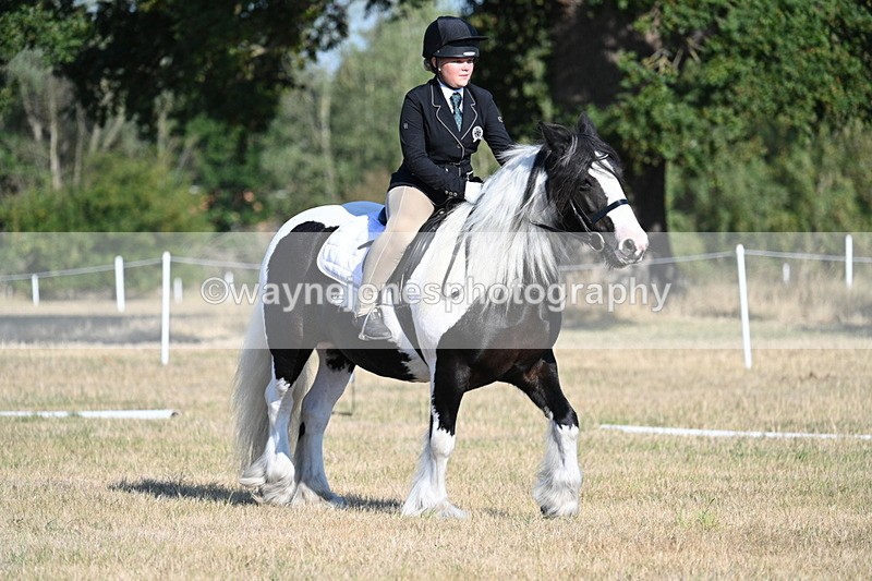 WJ7_8877 - Time 09:00 to 09:24