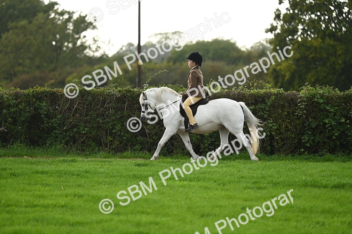 SBM_26628 - S7 - Novice & Newcomer Ridden Pony