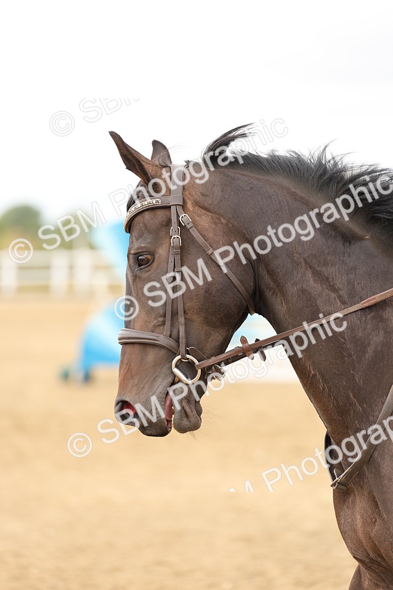 SBM_023191 - Class 2 - Amateur Championship Qualifier 85cm