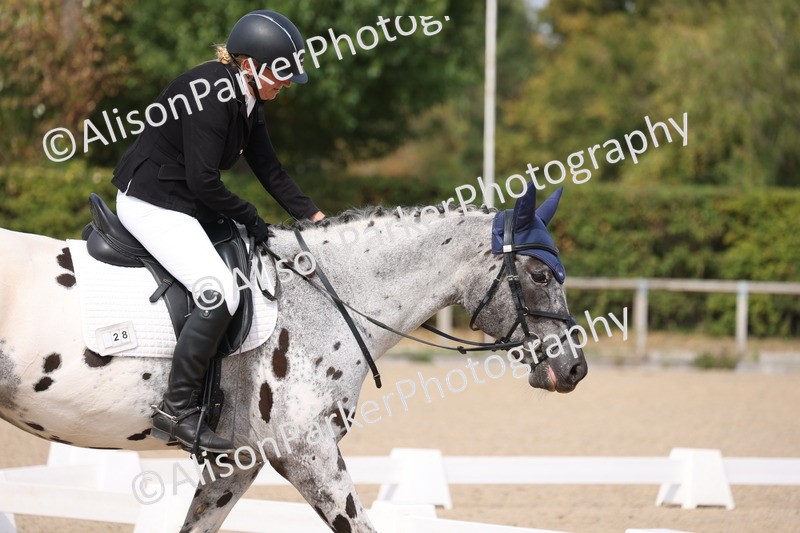 20250819-1607 - Class 5 - Novice 3