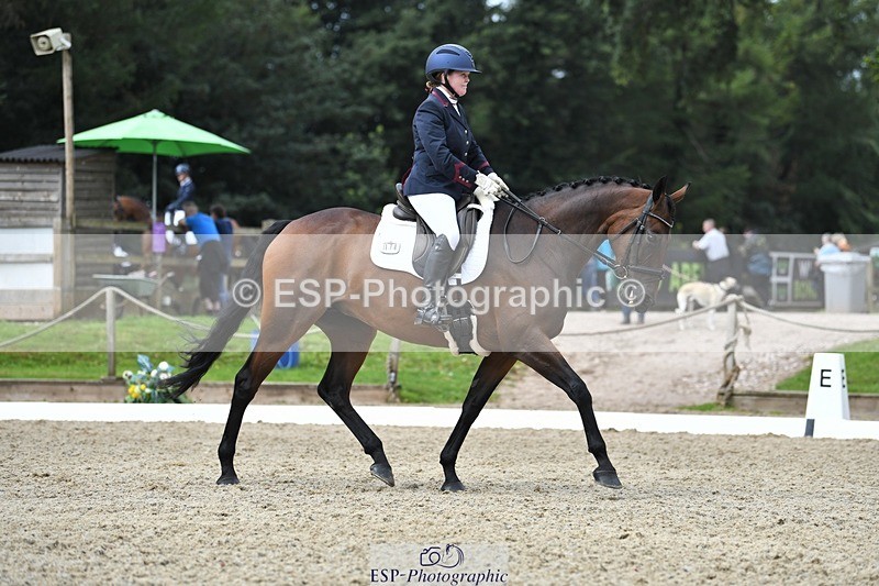 230812-110655-03527 - Cls 6 Novice Silver 10.30 to 11.55 break