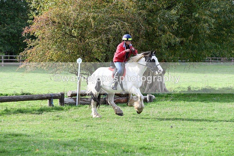 WJ5_1178 - Time 14:29 to 15:31