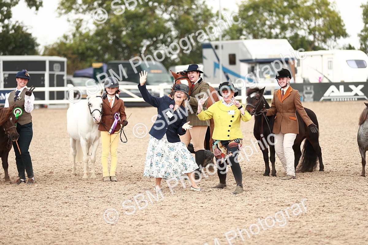 SBM_11943 - Class 206 IH Non Show Type Pony