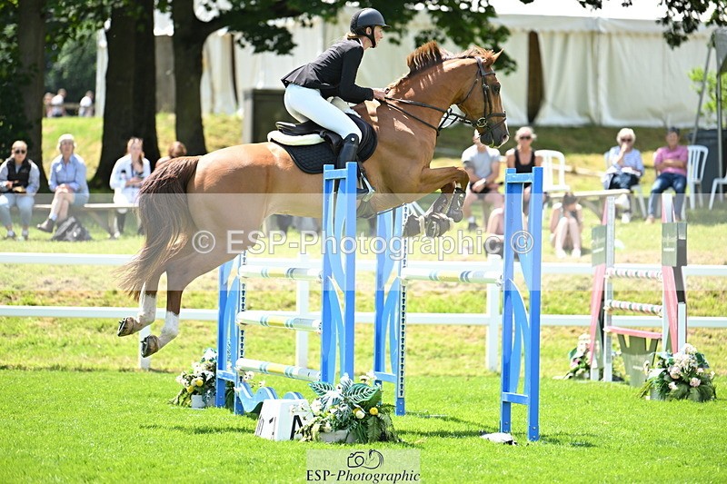 250614A-132026-06848 - Cls 20 Foxhunter