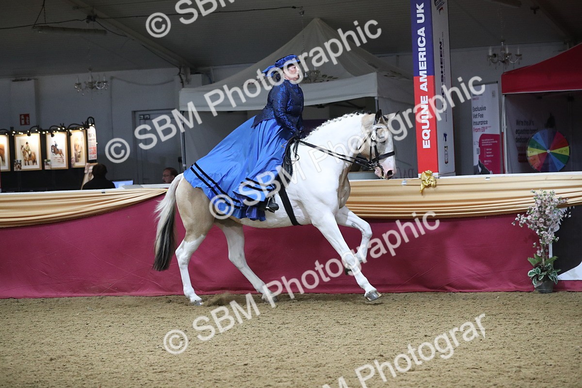 SBM_11986 - Class 106 Ridden Costume- Astride Adult (15-19)