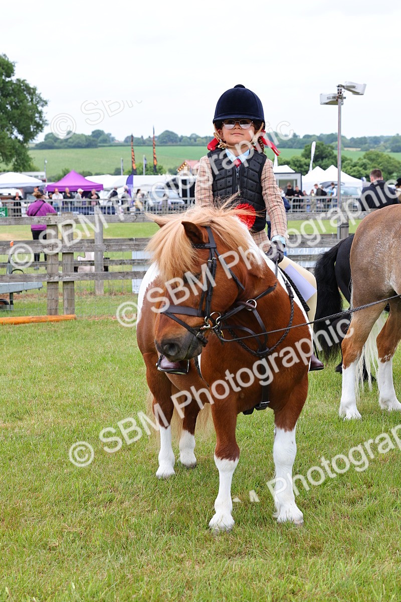 SBM_08405 - Class 42-43 - LIHS BSPS Heritage Working Sports Pony