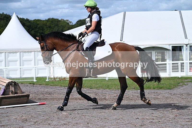 WJ7_0994 - Time 12:02 to 12:30