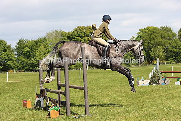 IMG_4609 - Working Hunter