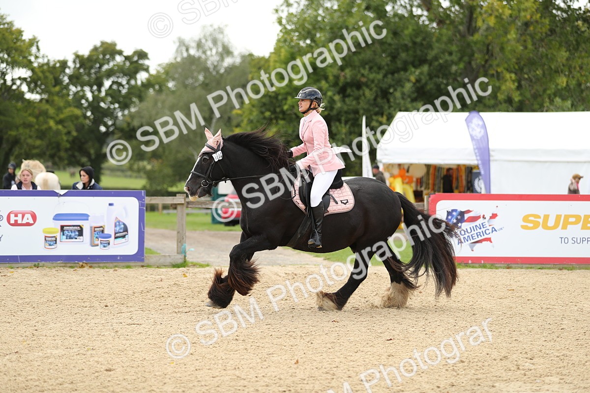 SBM_08556 - J30 - Senior Horse & Pony 70cm Championship