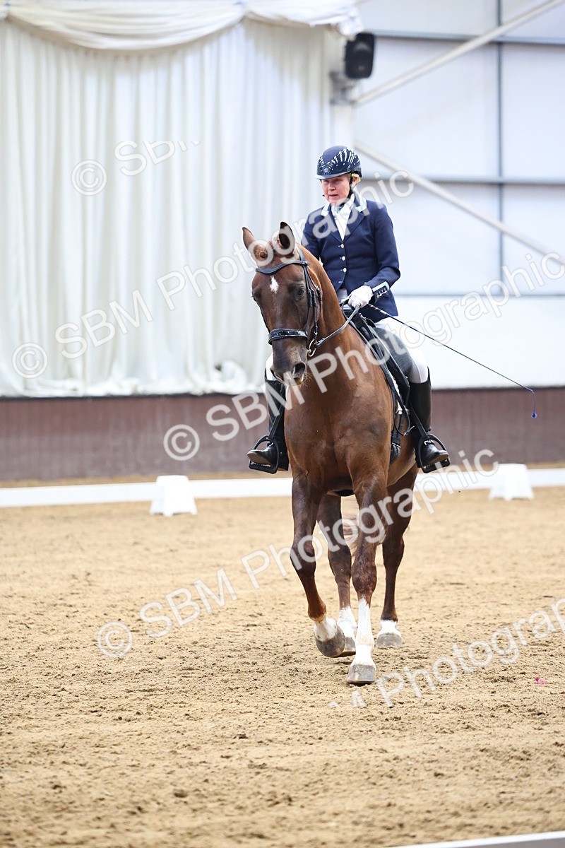 SBM_007919 - Class 21 - Medium 5