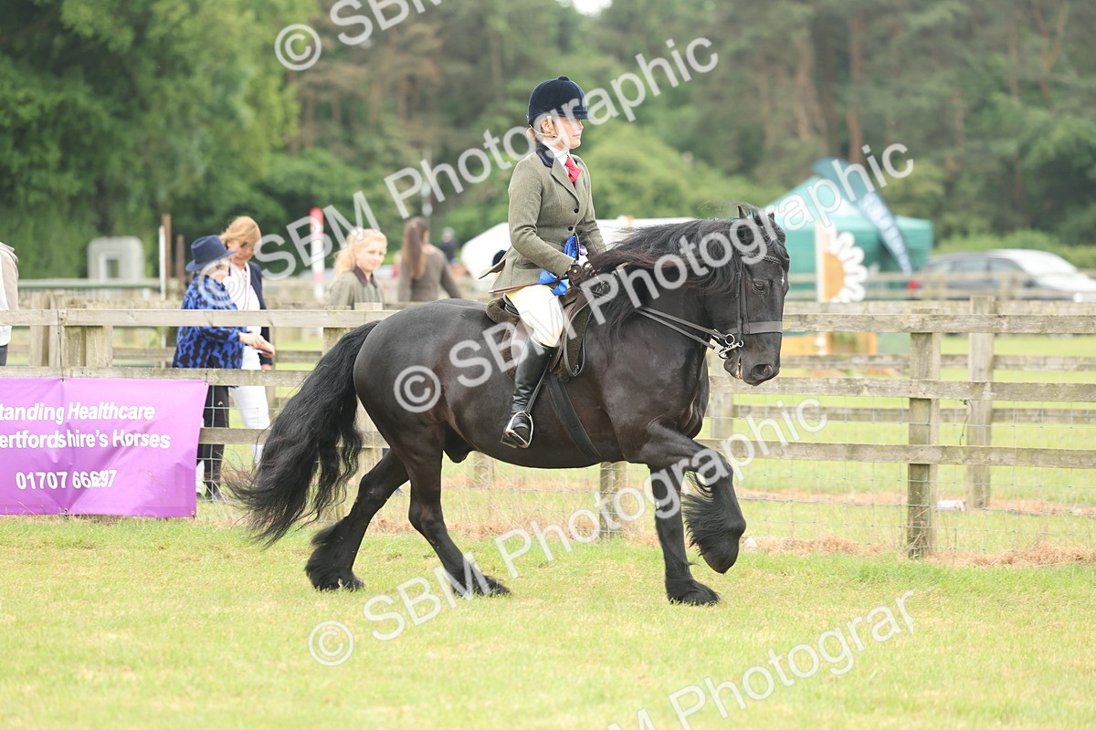 SBM_09061 - Class 78-80 - Ridden M&M Non Welsh Ponies