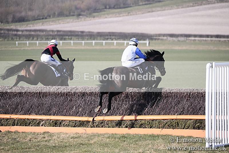 PtP 240218 19 - Vine & Craven Hunt Point-to-Point Barbury racecourse 24/02/18