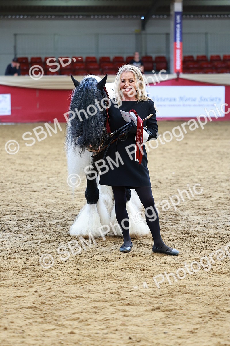 SBM_18718 - Class 903 - Sup Final - IH Pre Vet