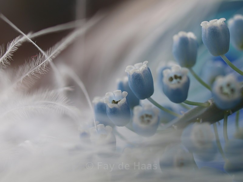 - Spring's Delights