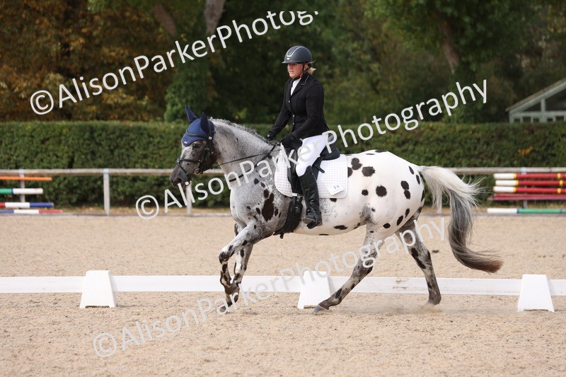 20250819-1598 - Class 5 - Novice 3