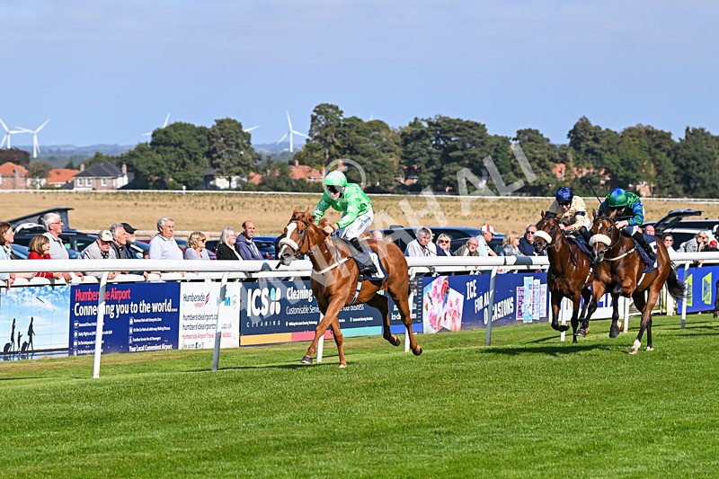 180924-Race 3-Beaujolais Nouveau-4235 - Race 3