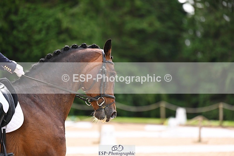 240524-102953-08140 - 512-RINGWOOD_MADRAS-Izzy_Taylor