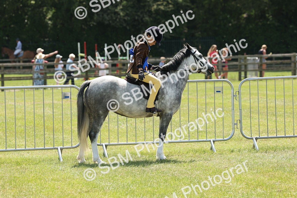 SBM_05396 - Class 24-25 - Mountain & Moorland In Hand Lead Rein and First Ridden