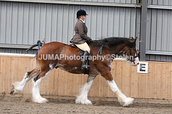 SIAL2462 - Sunday 14th Ridden