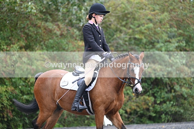 WJ7_3989 - Time 11:04 to 11:38