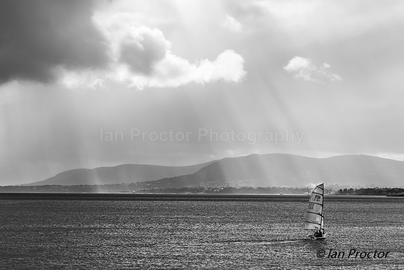 Rays of Light on Belfast Lough - Black & White